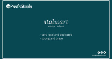 Definition of stalwart