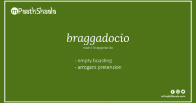 Definition of braggadocio