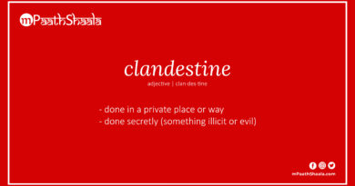 Definition of clandestine