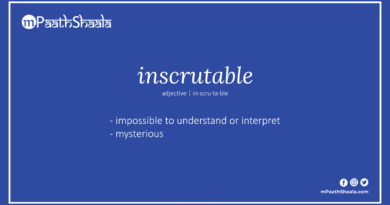 Definition of inscrutable