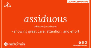 Definition of assiduous