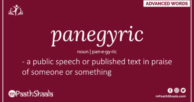 Definition of panegyric