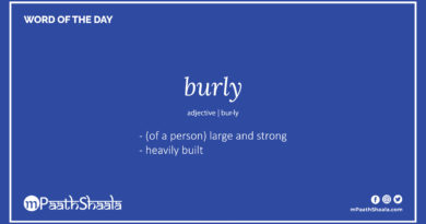 Definition of burly