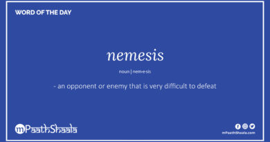 Definition of nemesis