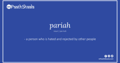 Definition of pariah