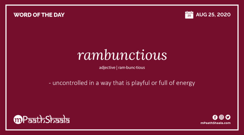 Definitions, Synonyms & Antonyms of rambunctious – Word of the Day