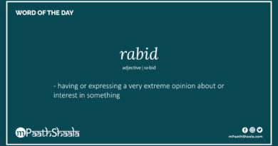 Definition of rabid