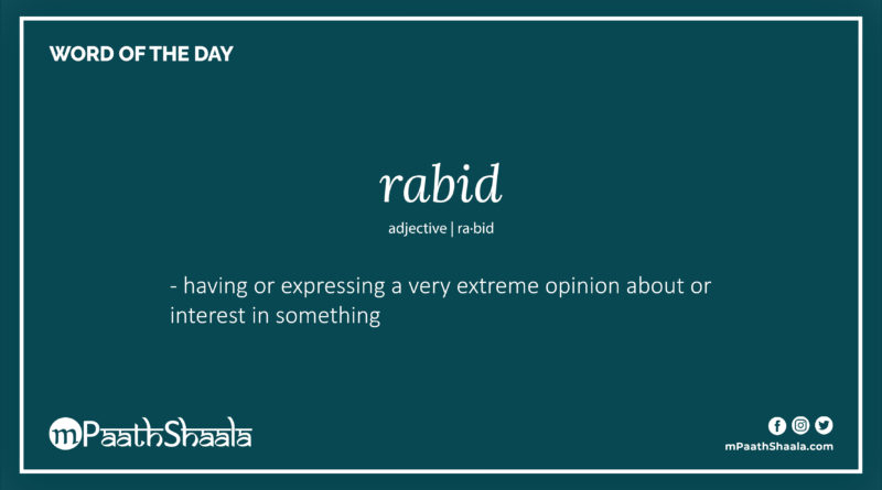 Definition of rabid