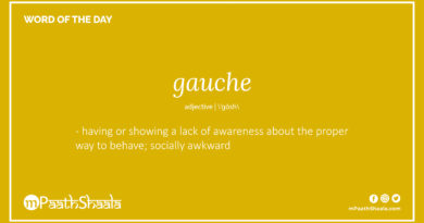 Definition of gauche