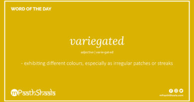 Definition of variegated