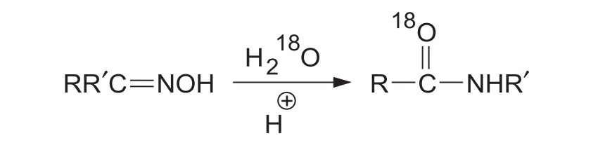 Beckmann Rearrangement