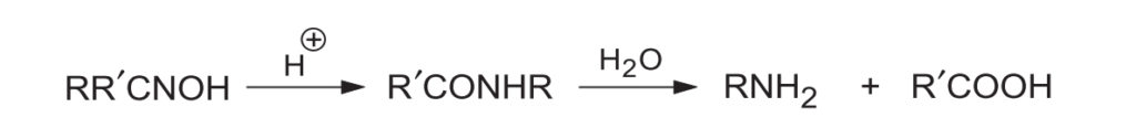 Beckmann Rearrangement