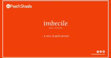 Definition of imbecile