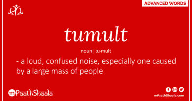 Definition of tumult