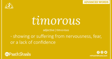 Definition of timorous