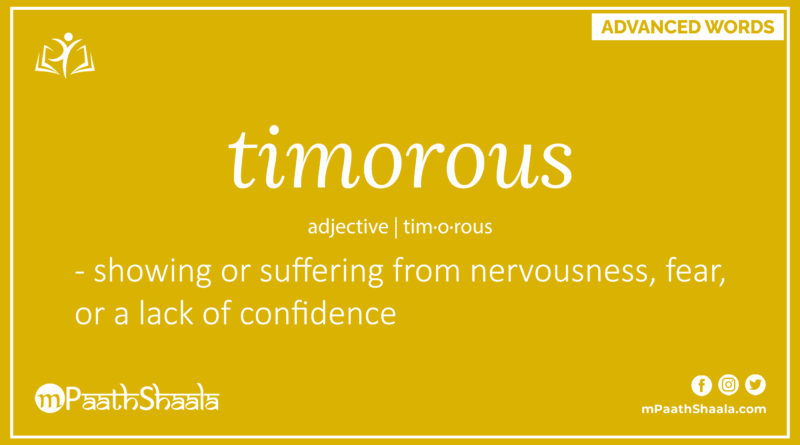 Definition of timorous